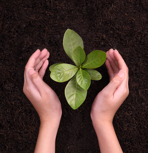 save-environment Two hands circling a plant in soil