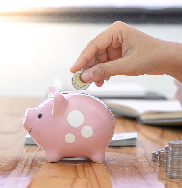 save-money Hand putting coins into piggy bank