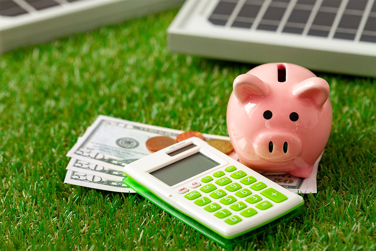 Piggy bank, money and calculator set on a green carpet