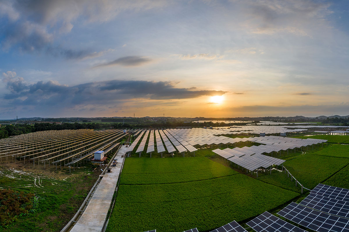 Solar power plant under the setting sun