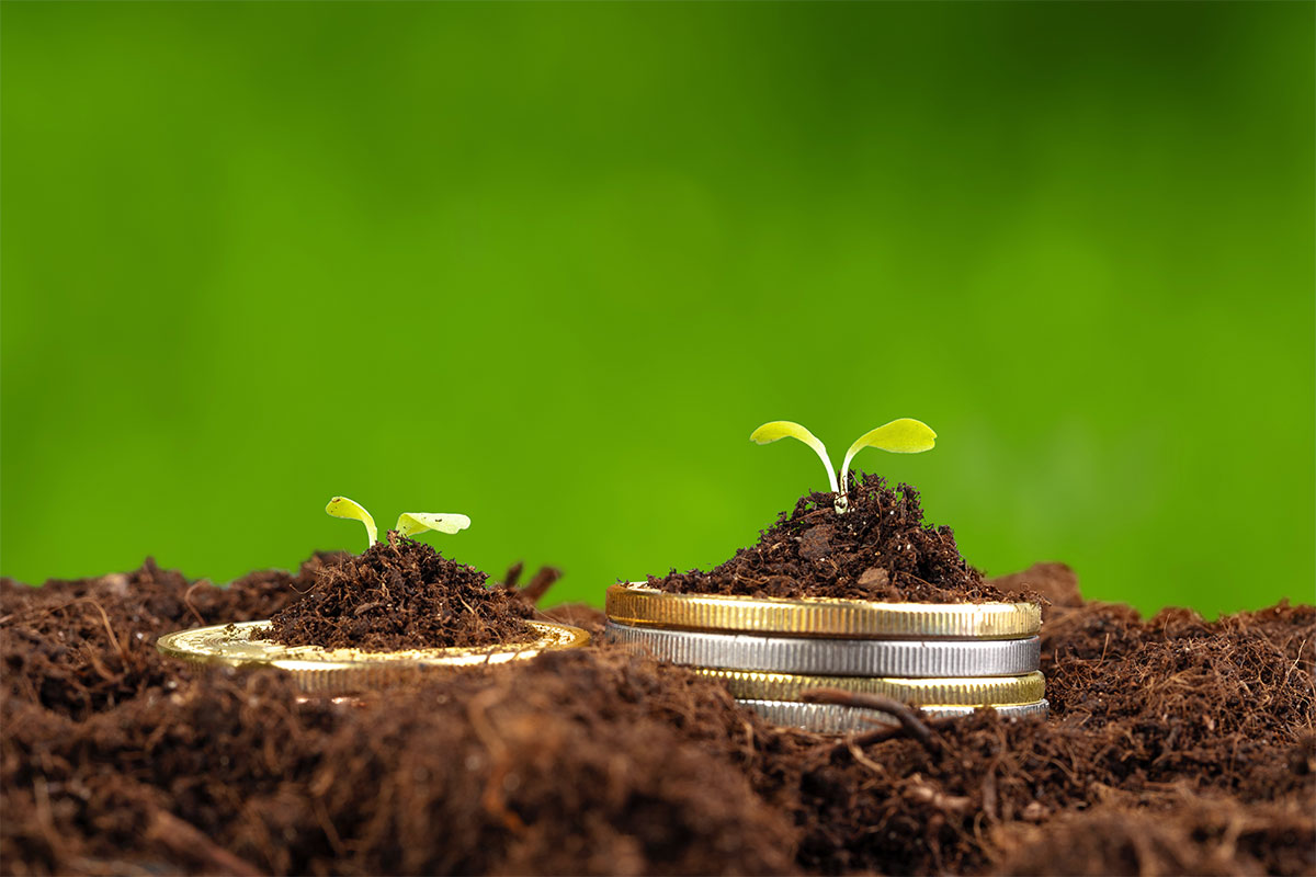 Coins in soil growing exponentially