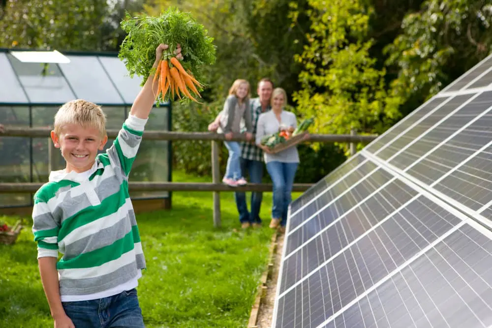 Kid holding carrots in a farm yard next to a solar panel installed on the ground