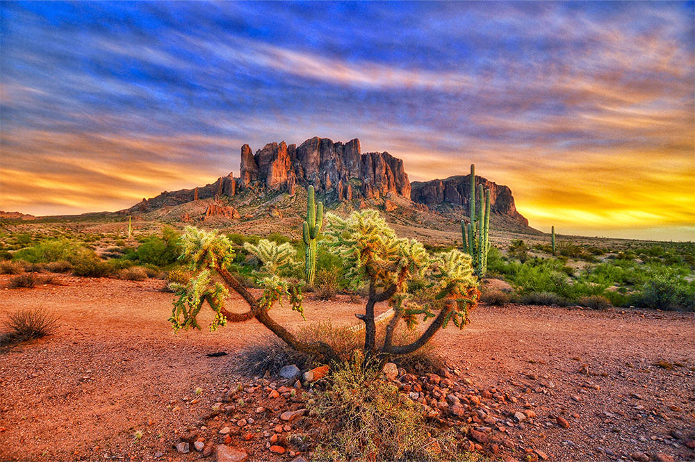 Evening photo of the Arizona desert landscape